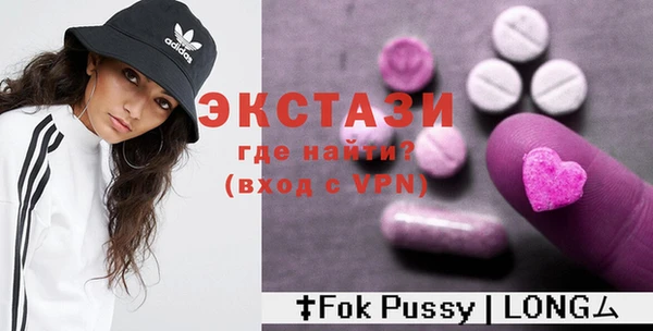 гидра Няндома