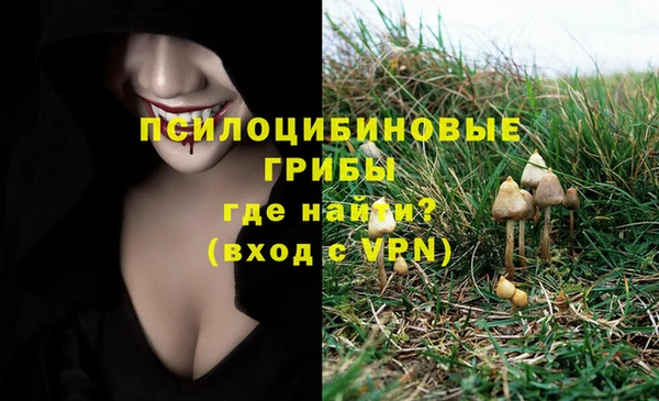 гидра Няндома
