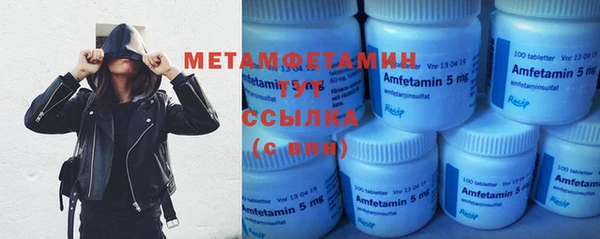 гидра Няндома