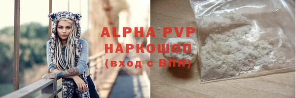 гидра Няндома