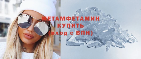 гидра Няндома