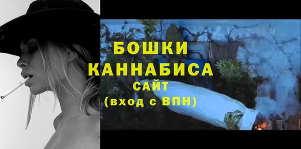 шишки Нязепетровск