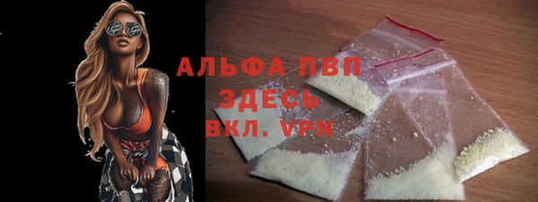 гидра Няндома