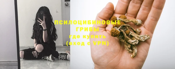 винт Нягань