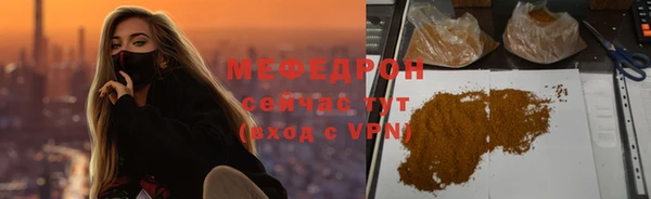 гидра Няндома