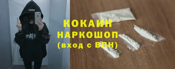 гидра Няндома