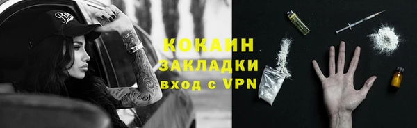 шишки Нязепетровск