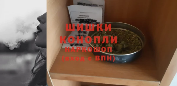шишки Нязепетровск