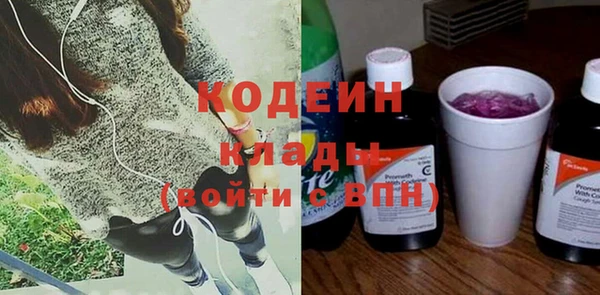 гидра Няндома