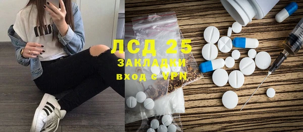гидра Няндома