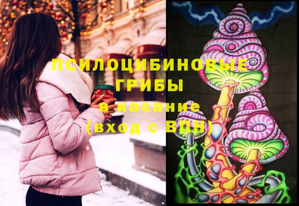 гидра Няндома