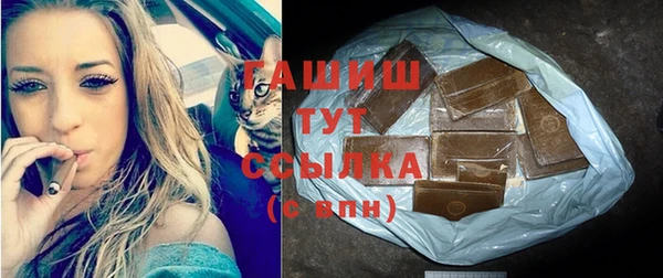 гидра Няндома