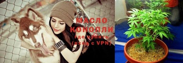 шишки Нязепетровск