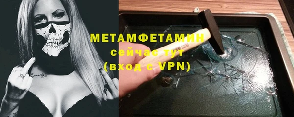 гидра Няндома