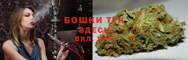 гидра Няндома