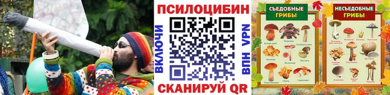 наркотики  Ртищево  Псилоцибиновые грибы ЛСД 